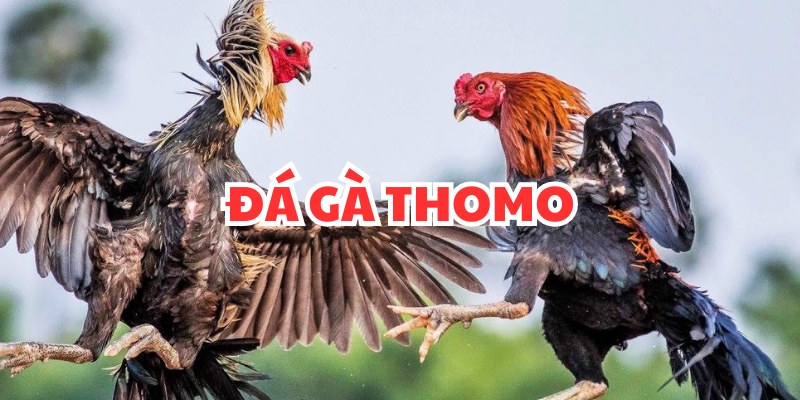 Thomo - một địa danh nổi tiếng của Campuchia