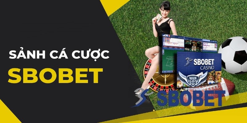 Thông tin cơ bản nhất về sảnh cược Sbobet MKSPORTS